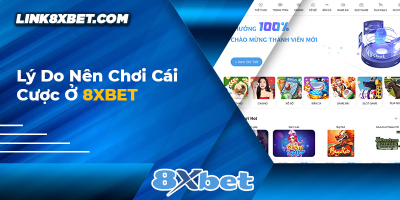 Lí do nên chơi cá cược ở nhà cái 8xbet