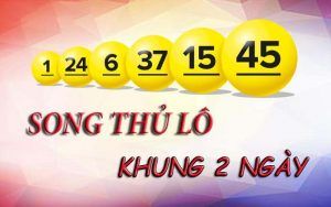 Cách nuôi lô song thủ khung 2 ngày chính xác nhất hiện nay